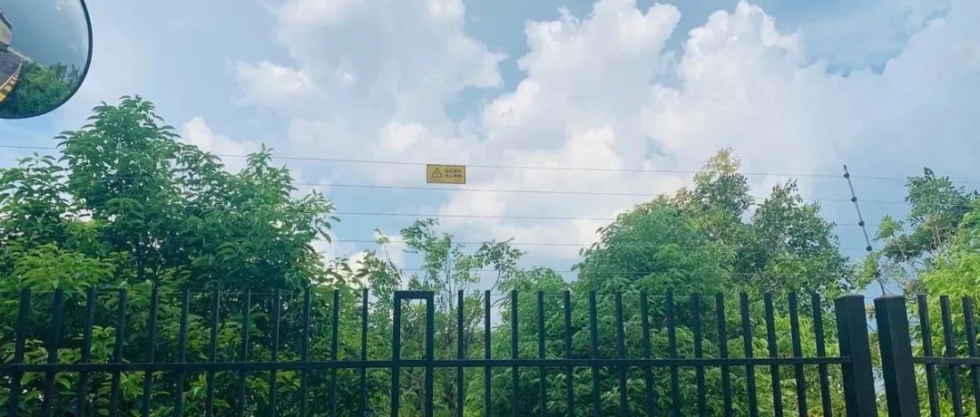 一學就會的張力電子圍欄接線教程來啦，保證比雙十一薅羊毛簡單！(圖9)